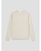 Pull col rond en jersey gris chiné clair