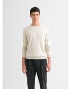 Pull col rond en jersey gris chiné clair