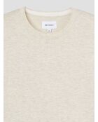 Pull col rond en jersey gris chiné clair