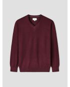 Pull col V en laine Mérinos figue