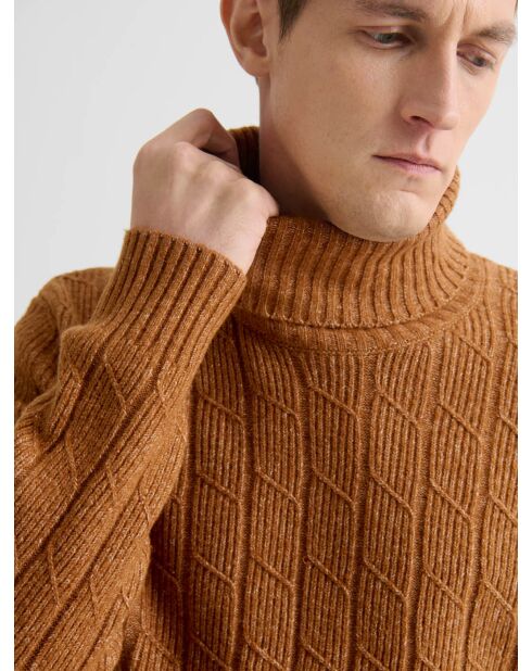 Maglione dolcevita screziato color nocciola 2