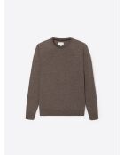 Maglione girocollo in lana merino castagna