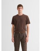 T-shirt col rond Supima cacao