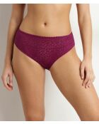 Culotte Daily Dentelle fruits des bois