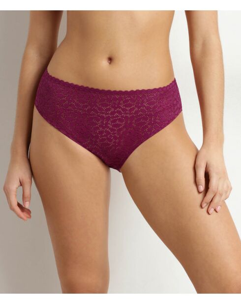 Culotte Daily Dentelle fruits des bois