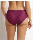 Culotte Daily Dentelle fruits des bois