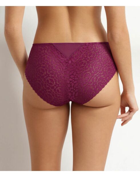 Culotte Daily Dentelle fruits des bois
