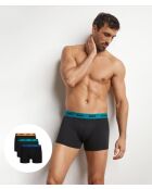 3 Boxers Mix and Colors lot cameleon