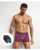 4 Boxers Ecodim Coton lot fusion