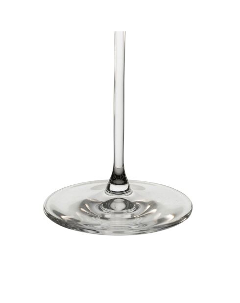 Flûte Loza - 31 cl