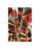 Tableau Seguia multicolore - 60x90 cm