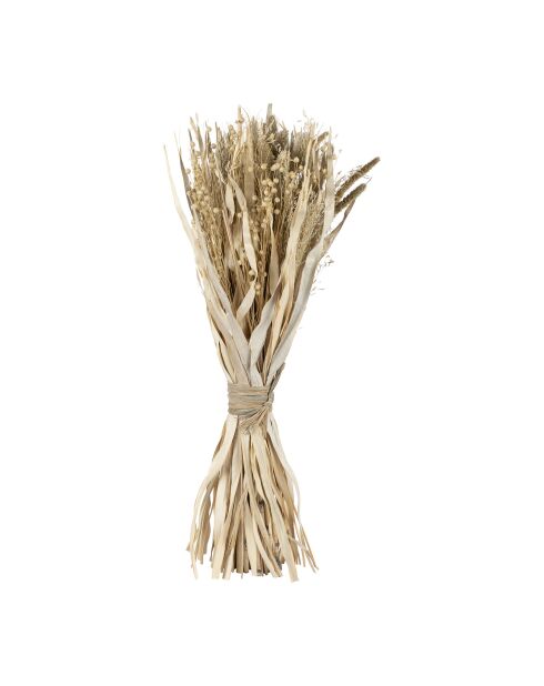 Bouquet plantes séchées Alpiste-Millet naturel - H60 cm