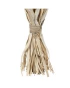 Bouquet plantes séchées Alpiste-Millet naturel - H60 cm