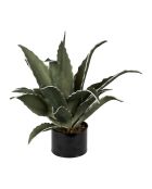 Pianta di agave verde - D42xH52 cm