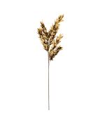 Senape in plumium/ramo marrone - H110 cm