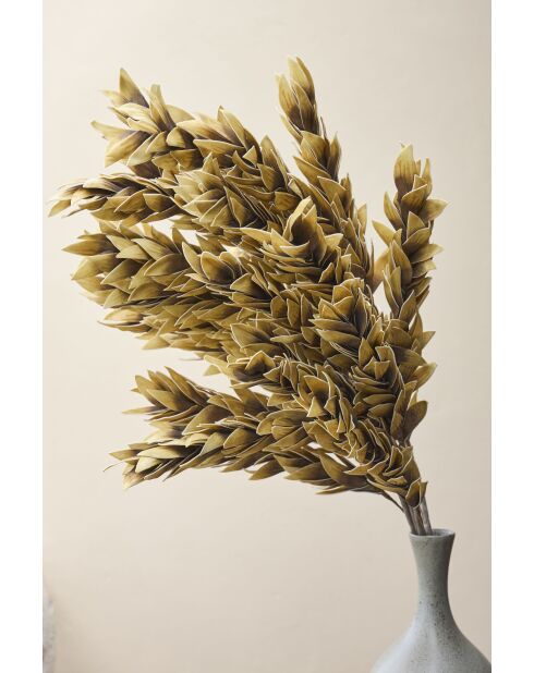 Senape in plumium/ramo marrone - H110 cm