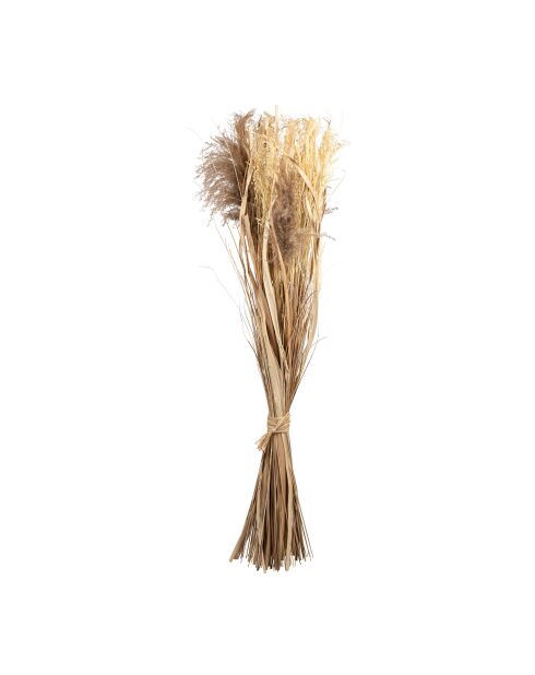 Déco fleurs séchées en plantes séchées Lagurus naturelle - D40xH150 cm