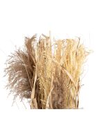 Déco fleurs séchées en plantes séchées Lagurus naturelle - D40xH150 cm