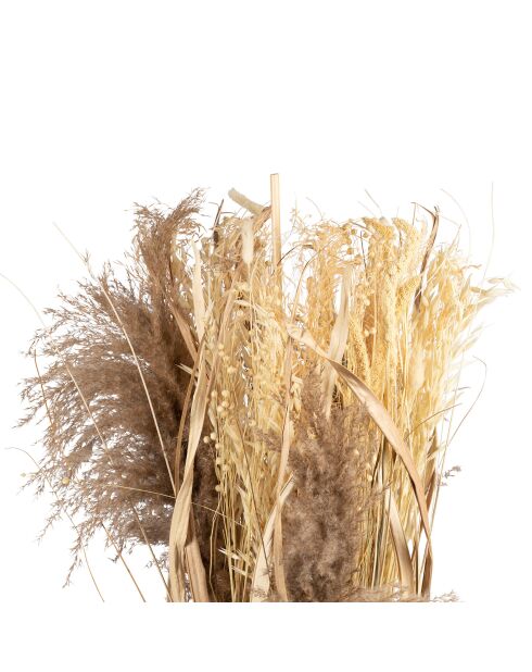 Déco fleurs séchées en plantes séchées Lagurus naturelle - D40xH150 cm