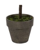 Pianta di fico verde - H120 cm