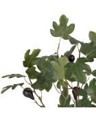 Pianta di fico verde - H120 cm