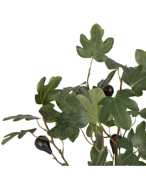 Plante Figuier verte - H120 cm