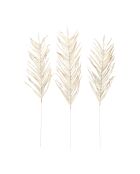3 branchages plantes séchées Livistona blancs - H100 cm