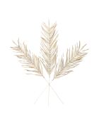 3 branchages plantes séchées Livistona blancs - H100 cm
