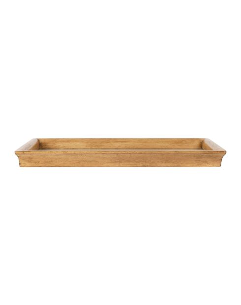 2 natürliche Firmin-Schalen - 50x32,5xH4/40x25,5xH4 cm