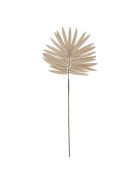 Ramo di palma beige - H87 cm