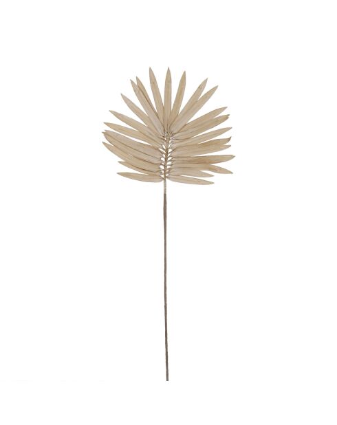 Ramo di palma beige - H87 cm