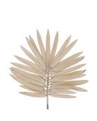 Ramo di palma beige - H87 cm