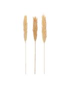 3 rami realizzati con piante essiccate naturali di Holcus - H100 cm