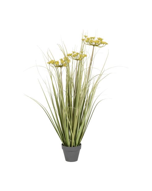 Plante Cyperus Alter verte/jaune - H78 cm
