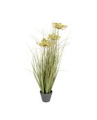 Pianta verde/gialla Cyperus Alter - H78 cm