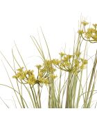 Pianta verde/gialla Cyperus Alter - H78 cm