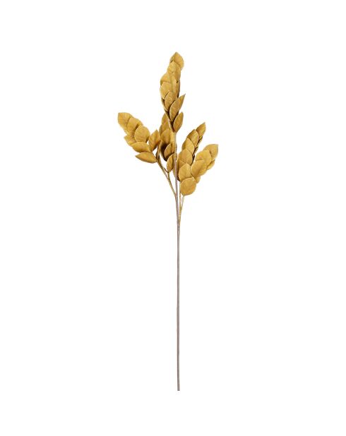 Senape Rowan ramificata - H80 cm
