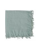 2 serviettes en coton 175 g/m² Nalia vert d'eau - 35x35 cm
