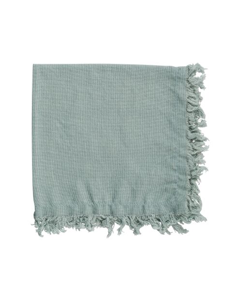 2 serviettes en coton 175 g/m² Nalia vert d'eau - 35x35 cm
