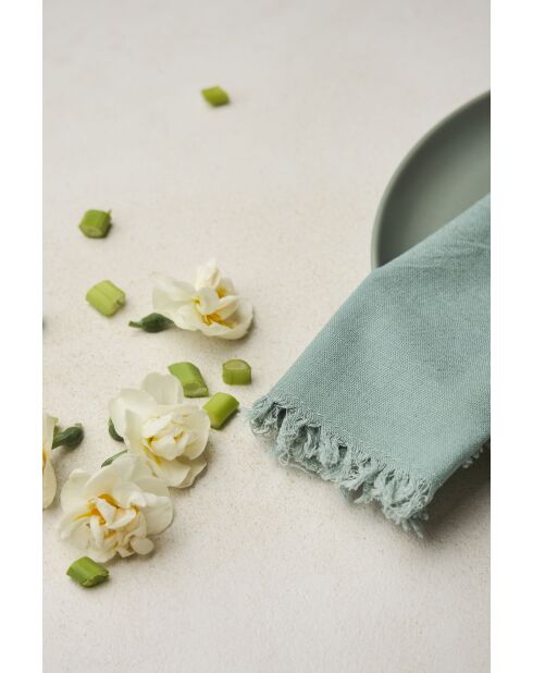 2 serviettes en coton 175 g/m² Nalia vert d'eau - 35x35 cm