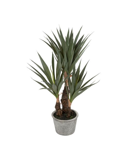 Plante Yucca vert foncé - H53 cm