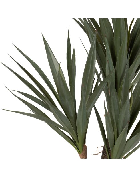 Plante Yucca vert foncé - H53 cm