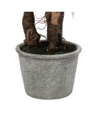 Plante Yucca vert foncé - H53 cm