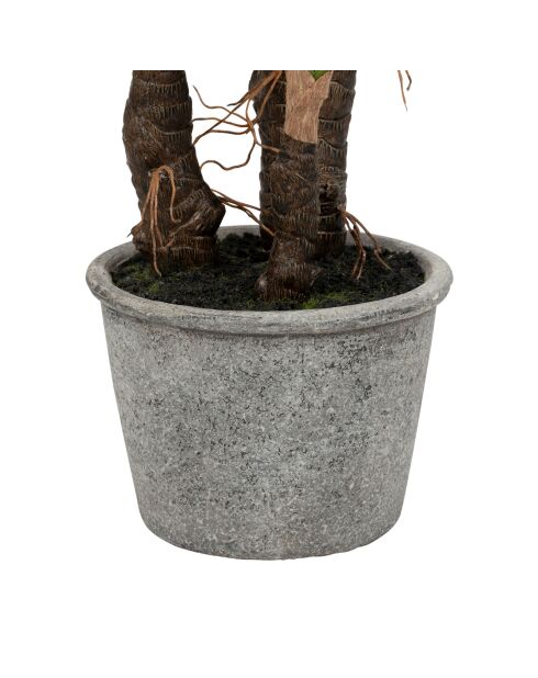 Plante Yucca vert foncé - H53 cm