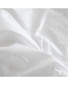 Protège-oreiller imperméable Éponge en coton blanc - 50x75 cm