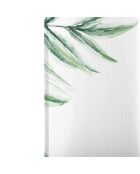 Rideau Delicate multicolore - 140x300 cm
