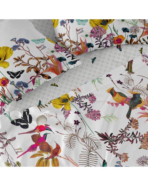 Drap en coton Birds of paradise multicolore