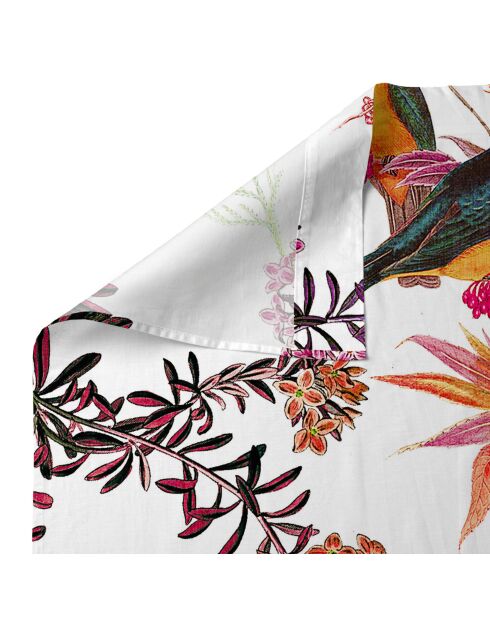Drap en coton Birds of paradise multicolore
