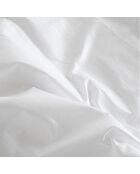 Protège-oreiller imperméable en coton Jersey blanc