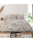 Drap en coton Maple (Lit 150/160) multicolore - 240x270 cm